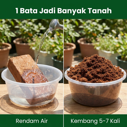 Rendam air kembang 5-7 kali