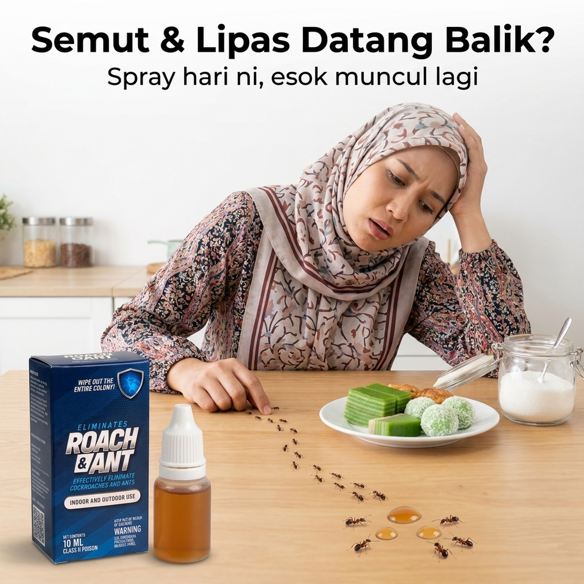Semut & Lipas Datang Balik?