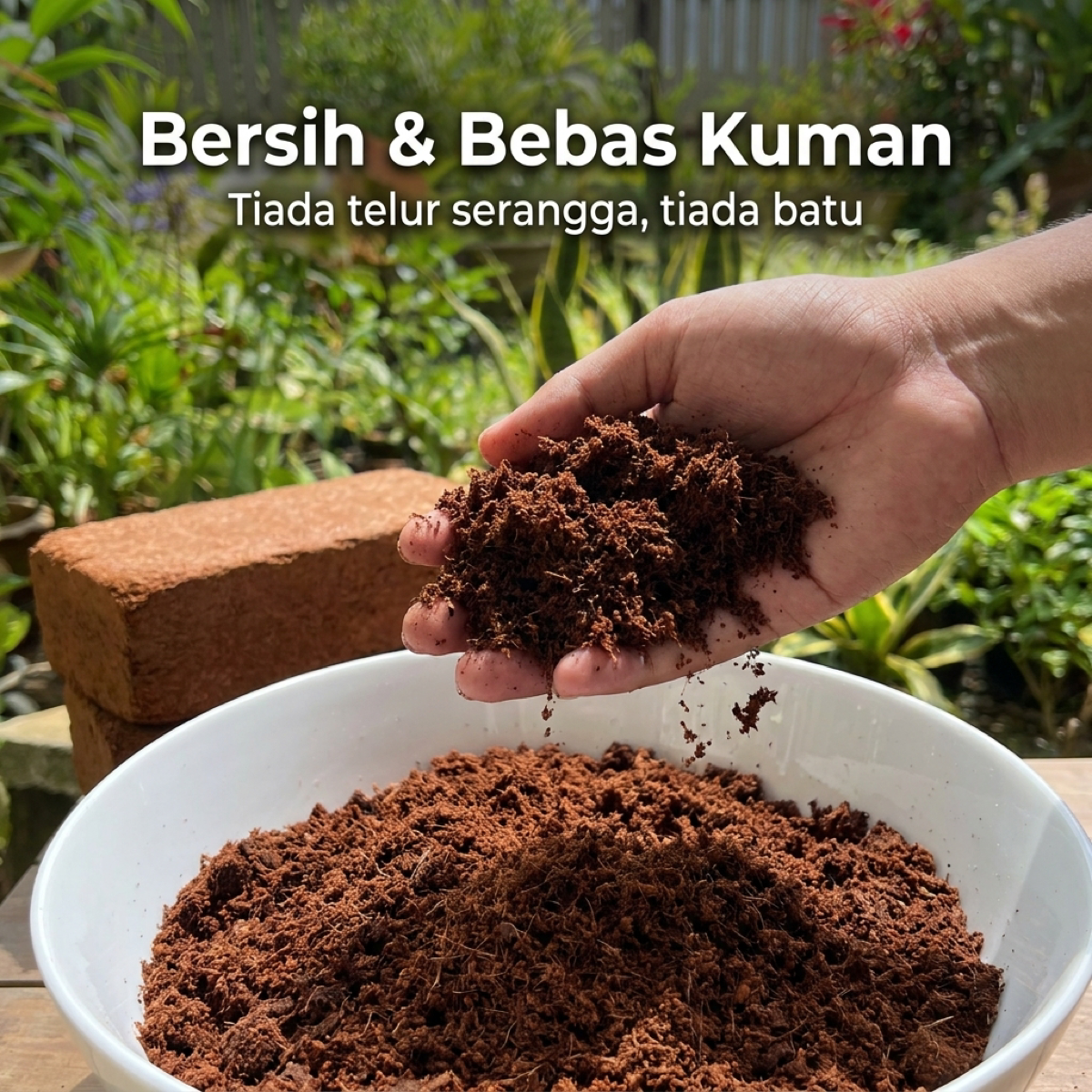Bersih dan bebas kuman