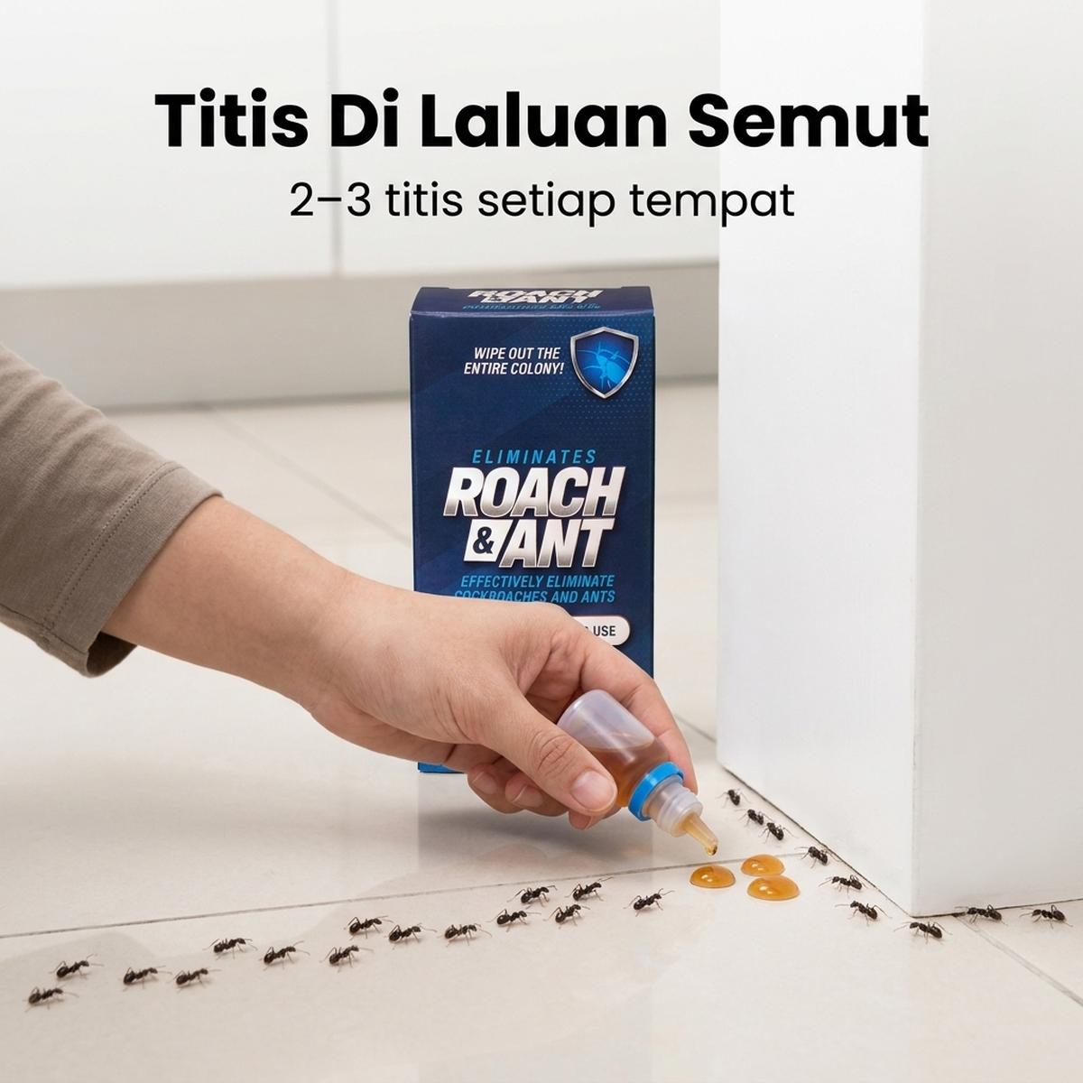Titis Di Laluan Semut