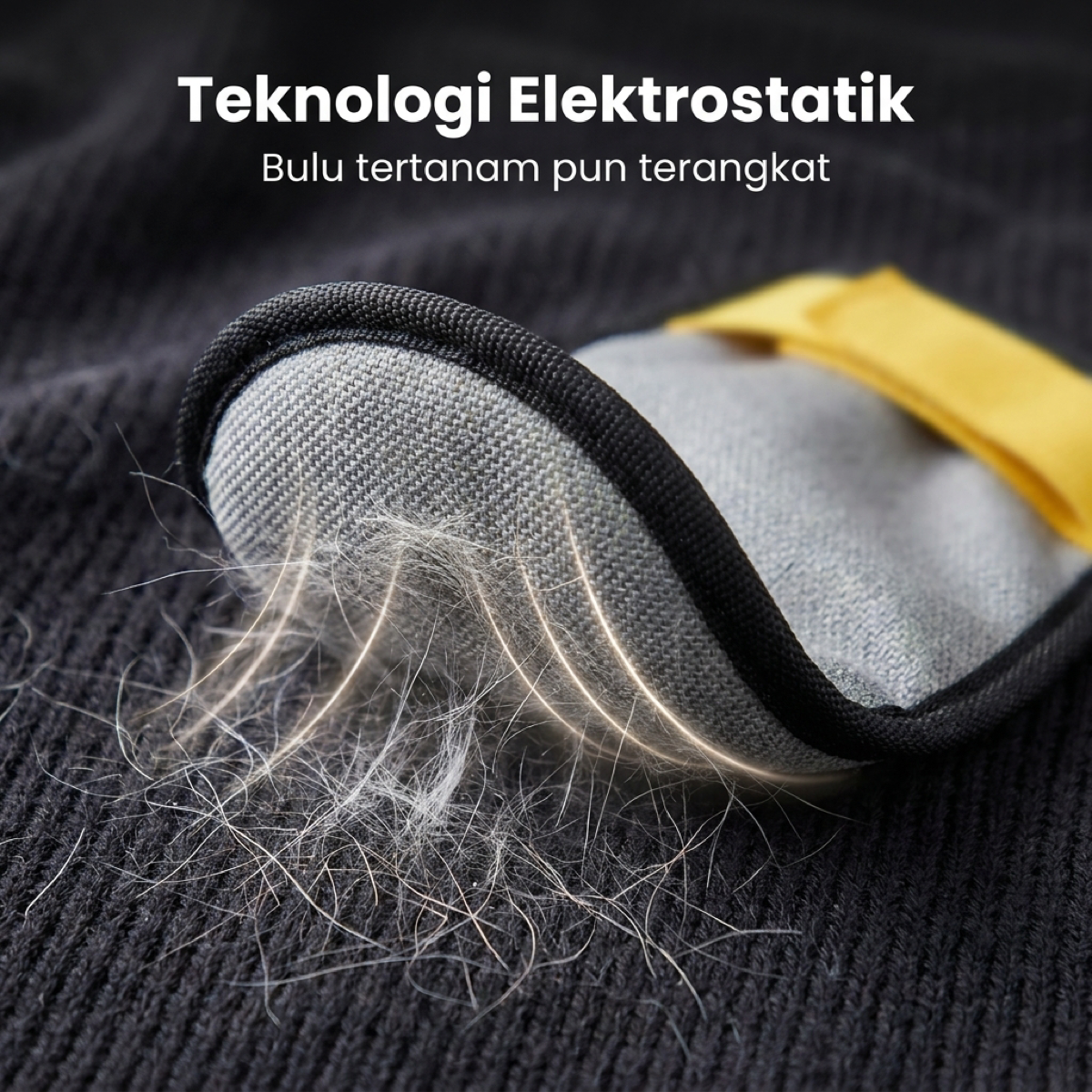 Teknologi elektrostatik